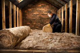 Best Attic Insulation Installation  in Palacios, TX