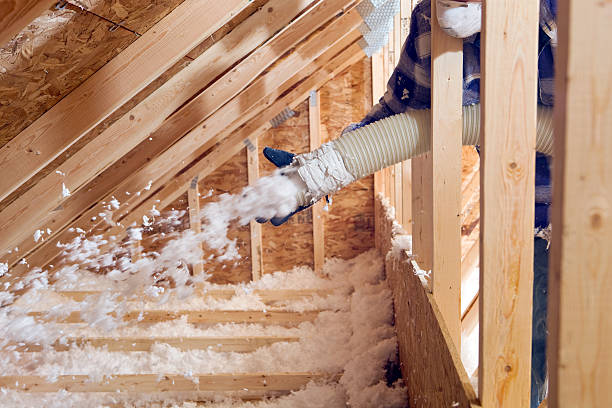 Best Eco-Friendly or Green Insulation Solutions  in Palacios, TX